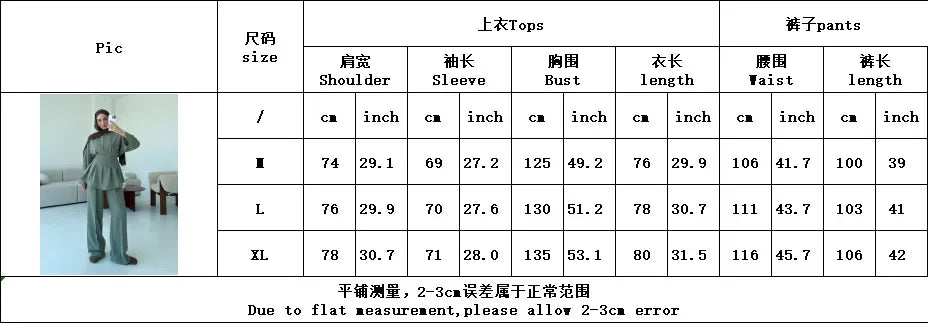 Shirt Straight Pant Sets 2 Piece